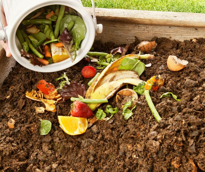 Apprenez les règles de base du compostage et découvrez une solution simple, économique et écologique pour valoriser vos déchets organiques.