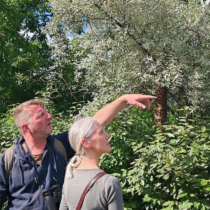 Balade nature dans le jardin de la Pouponnière