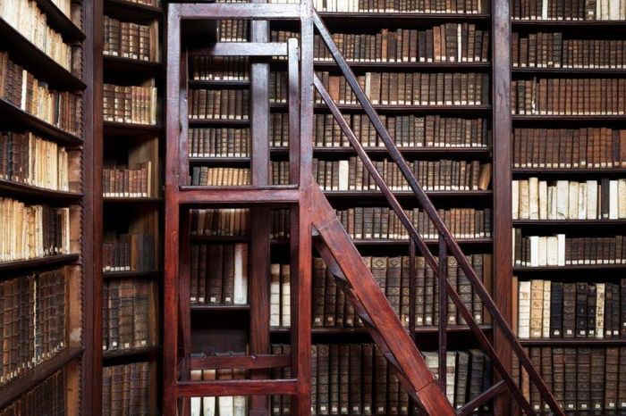 Venez découvrir ce lieu unique qu’est notre Bibliothèque patrimoniale et observer les trésors de la collection : trois manuscrits médiévaux enluminés.