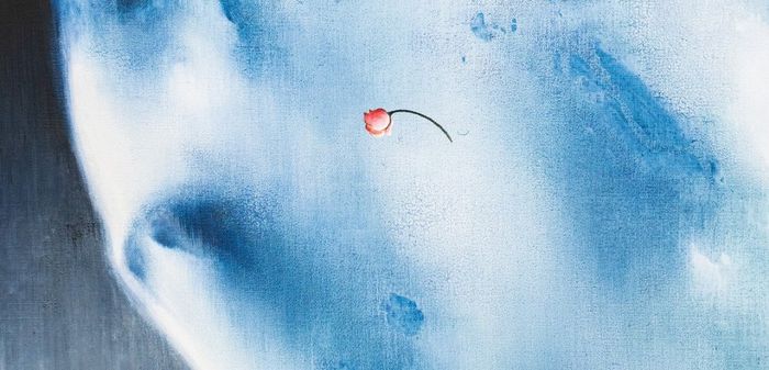 EXPOSITION : UNE ROSE, MILLE MONDES