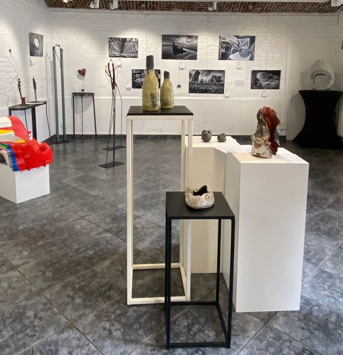 Du 13 au 15 novembre, découvrez plus de 50 œuvres de 11 artistes à la Galerie Gilbert Sailly. Cette exposition-vente de photographies et sculptures est organisée au profit de Mères pour la Paix.
