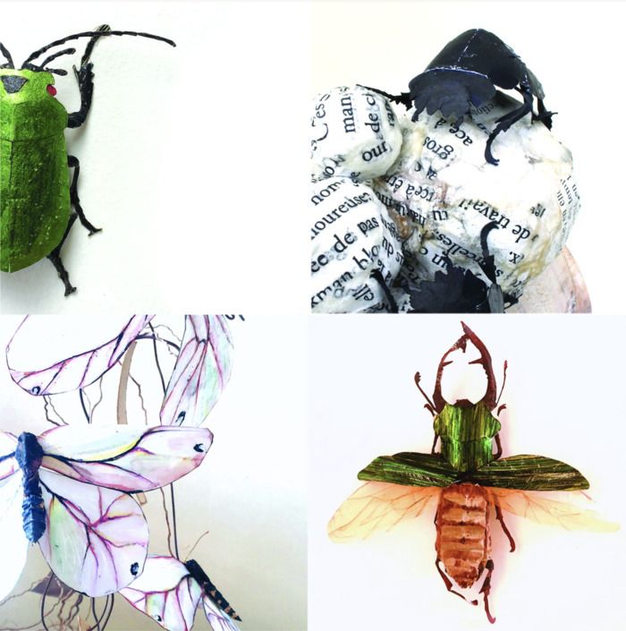 Exposition « Les carnivores et les oiseaux » de Pierre Fauret