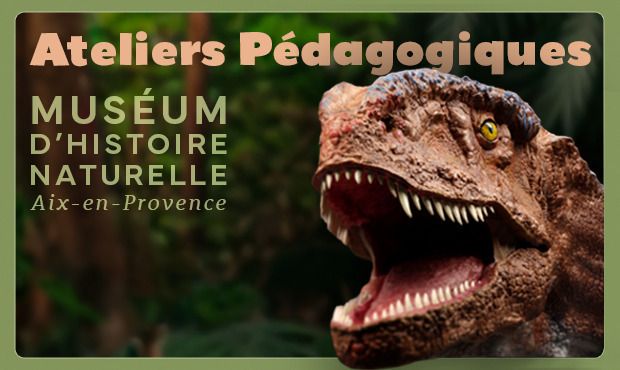 Le Muséum d’Histoire Naturelle d'Aix-en-Provence vous propose  des ateliers pédagogiques pour les enfants de 7 à 12 ans