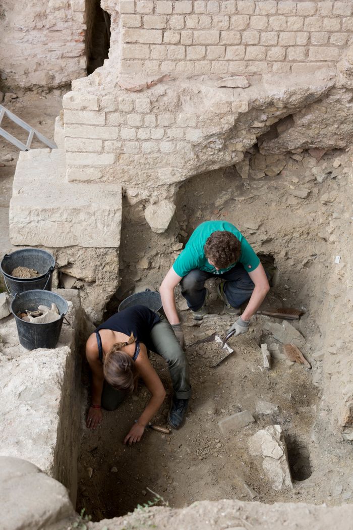 Lors de ce week-end consacré à l'archéologie, vous pourrez découvrir le chantier de fouilles du forum, visiter les coulisses de Vieux-la-Romaine (réserves) et pour les enfants, s'initier à la fouille.
