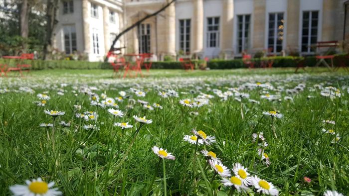 Cours intensifs de langue italienne