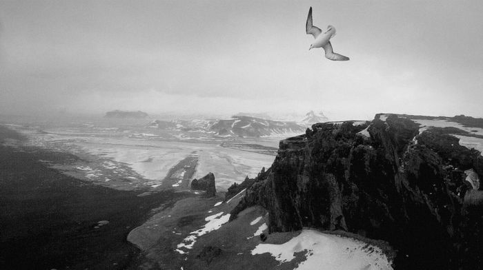 Pour son dernier événement IF Screenings de la saison, Institut finlandais propose la projection du film "Animal Image" de Perttu Saksa, suivi d'un concert de jazz par Mika Kallio et Verneri Pohjola.