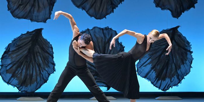 Danse - Malandain Ballet Biarritz