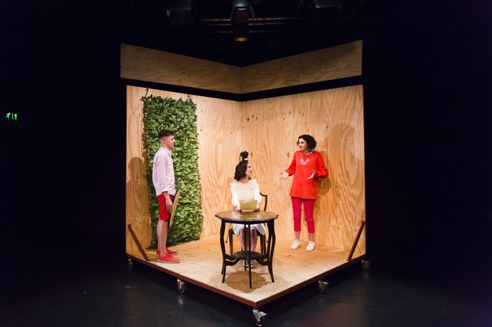 Ce spectacle plein d’esprit s’articule autour du thème des souvenirs et s’adresse à tous ceux qui aiment être titillés et provoqués.