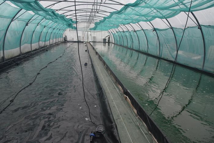 Dans le cadre des ateliers DD, participez à la visite de la ferme de spiruline Etika Spirulina le mercredi 16 septembre prochain.