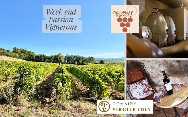 Pensé comme une parenthèse hors du temps, le Week-end Passion Vigneron propose de découvrir le vignoble autrement, à travers la rencontre, le partage Magdalena et Virgile Joly, deux vignerons engagés