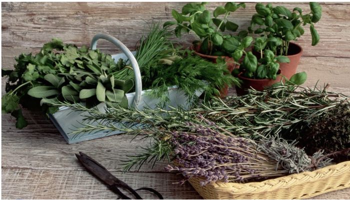 Rendez-vous Nature “je cuisine antigaspi”