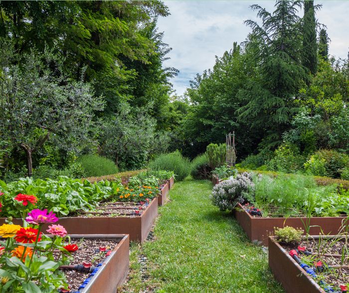 Cette présentation de 2 heures vous donnera les clés pour démarrer votre projet, quel que soit la taille de votre jardin !