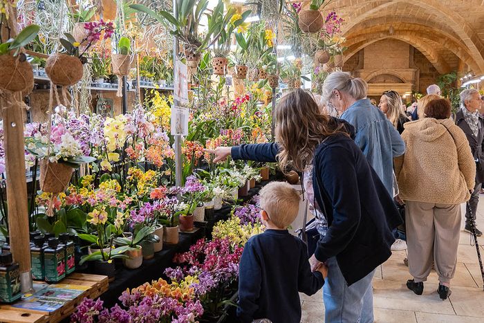 Festival international des Orchidées