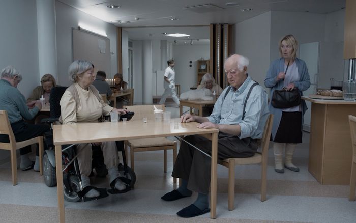 Pour la prochaine séance cinématographique IF Screenings, nous vous proposons une sélection de courts métrages de fiction, de documentaires et de films expérimentaux pendant trois jours.