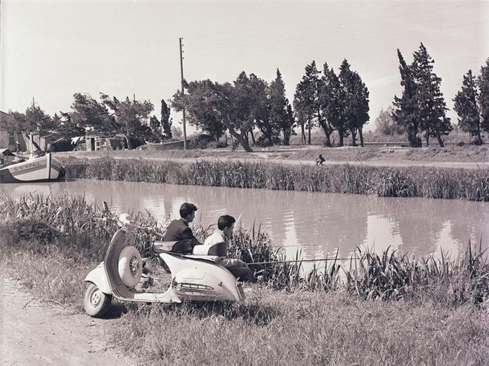 INSTANTS DE VIE AU FIL DU CANAL DU MIDI
