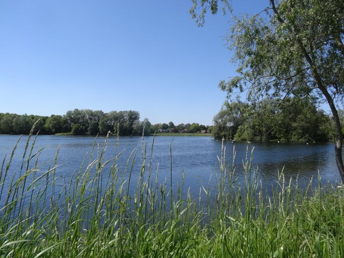 Samedi 19 septembre de 14h30 à 16h, partez à la découverte de l’incroyable richesse naturelle du lac du Héron !