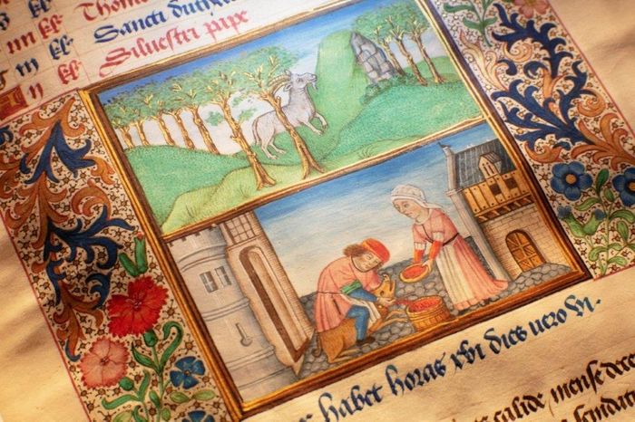 Venez découvrir ce lieu unique qu’est notre Bibliothèque patrimoniale et observer les trésors de la collection : trois manuscrits médiévaux enluminés.