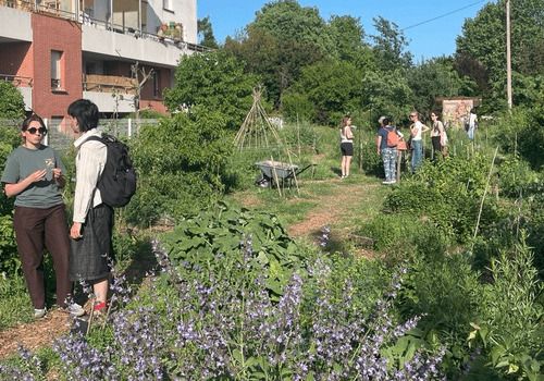 Un après-midi pour récolter des plantes aromatiques, observer les petites bêtes du compost, et découvrir le monde des pollinisateurs