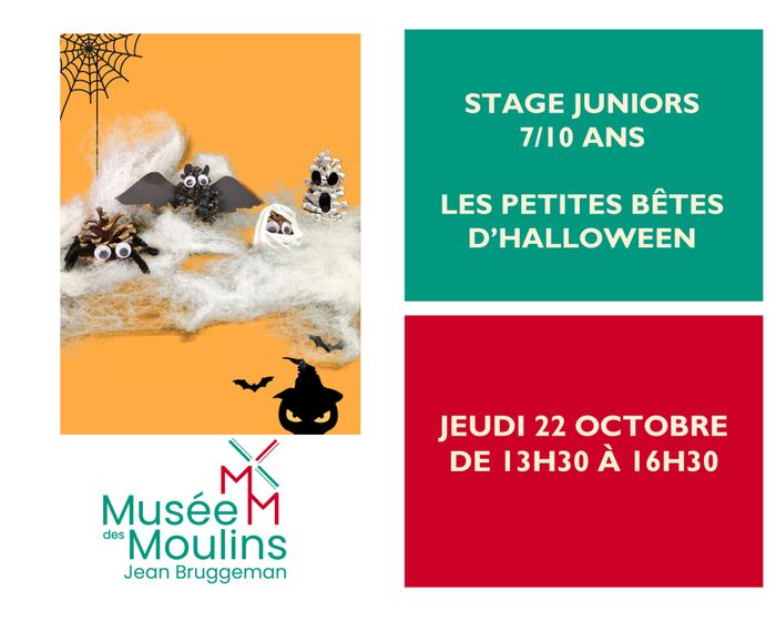Jeudi 22 octobre de 13h30 à 16h30, crée des petites bêtes effrayantes pour ta décoration d'Halloween !