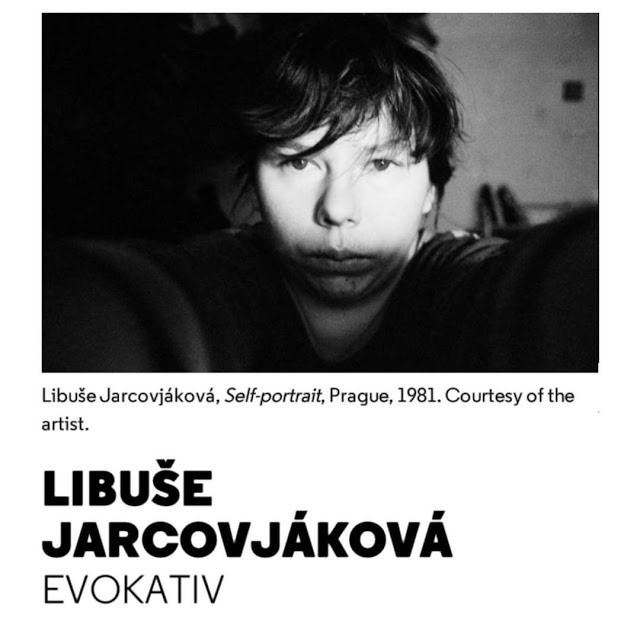 Lancement parisien du recueil de photographies "Evokativ" de Libuše Jarcovjáková aux éditions Untitled.