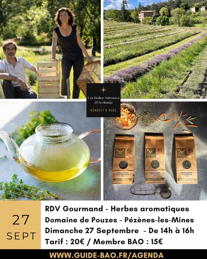 Découverte du Domaine de Pouzes (herbes aromatiques) à Pézènes-les-Mines