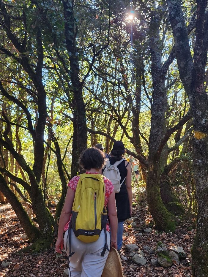 A l'occasion de la Journée Internationale des Forêts, venez apprendre à reconnaitre les principales essences forestières, les traces de la faune sauvage et les multiples fonctions de la forêt audoise.