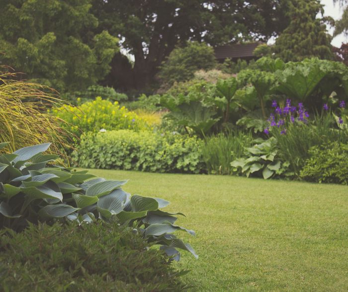 Découvrez un jardin expérimental de 3 hectares et explorez, avec le paysagiste F. Delesalle, les liens entre paysage, écologie, lumière et structures végétales.