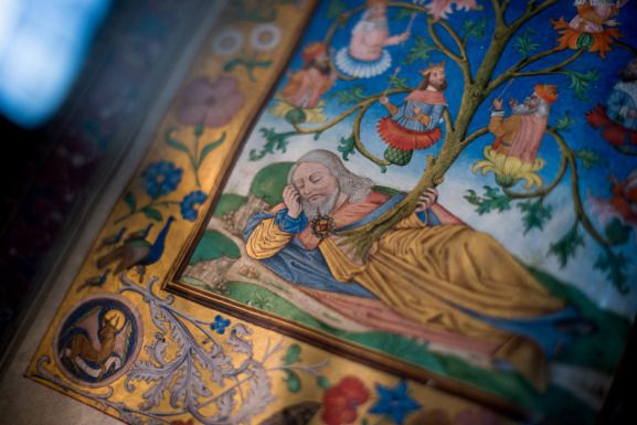 Venez découvrir l’histoire de notre magnifique Bibliothèque patrimoniale !