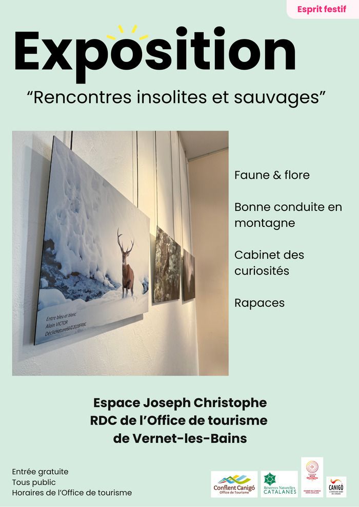 Exposition - "Rencontres insolites et sauvages"