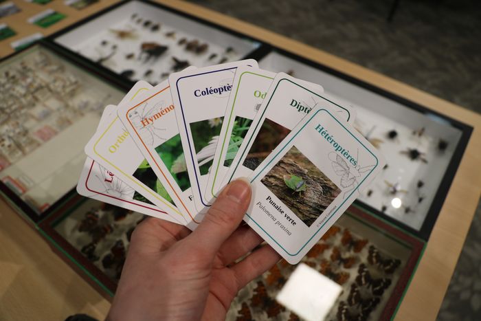 Le Musée propose aux grands-parents de venir partager un moment privilégié avec leurs petits-enfants en venant participer ensemble à une séance de jeux de société !
