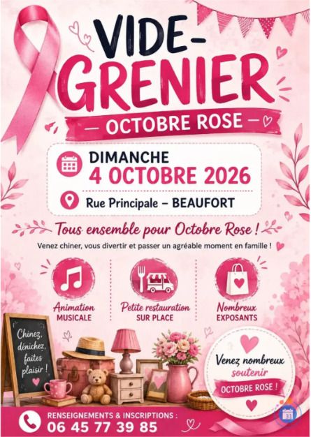 Vide grenier animation musicale restauration