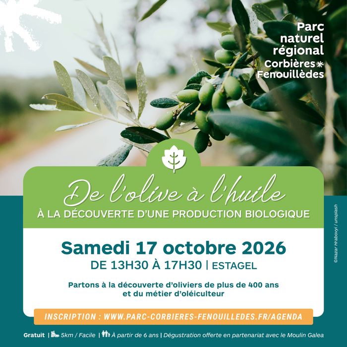 Partons à la découverte d’oliviers de plus de 400 ans, de la labellisation « Agriculture Biologique » et du métier d’oléiculteur avec une démonstration de l’utilisation d’un moulin à huile.