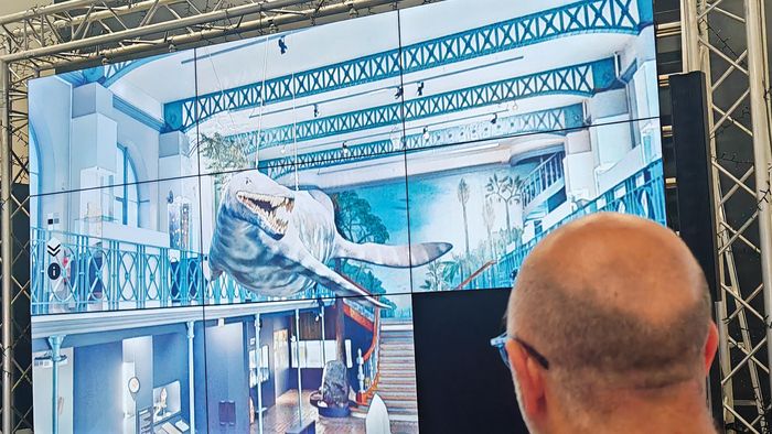 Visite virtuelle commentée & Muséum en boîte à la Pouponnière