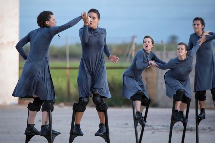 Crée en 1983, le Festival international des Arts du Mime et du Geste à Périgueux est l’un des plus grands festivals en Europe et le seul du genre en France.