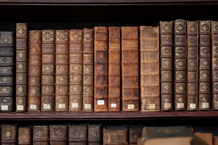 Venez découvrir ce lieu unique qu’est notre Bibliothèque patrimoniale et observer les trésors de la collection : trois manuscrits médiévaux enluminés.