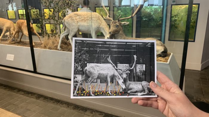 Le Musée propose de t'essayer à la borderie sur photo en redonnant vie et couleur à des photos d’archives du Musée !