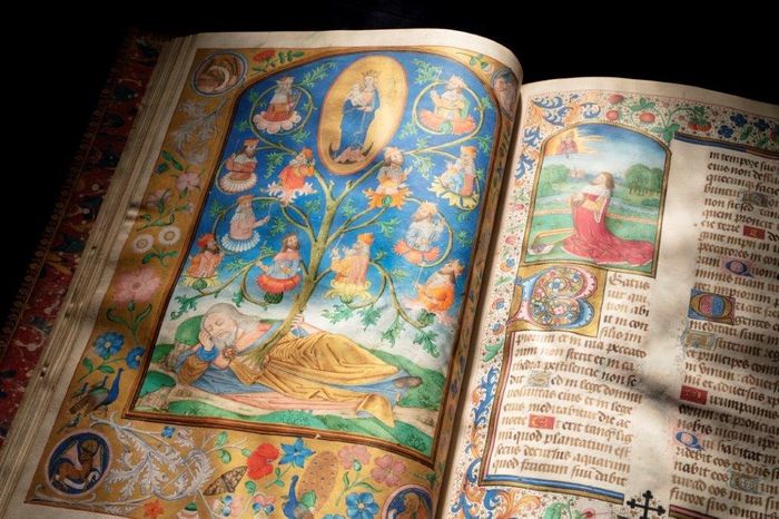 Venez découvrir l’histoire de notre magnifique Bibliothèque patrimoniale !