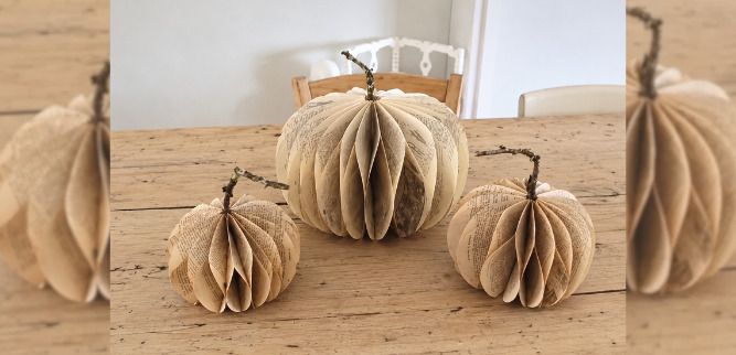 Rendez-vous vendredi 23 octobre de 14h à 17h à la médiathèque pour un atelier citrouille !