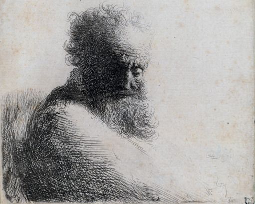 Exposition "L'héritage de Darwin dans le cadre de la Fête de la science"
