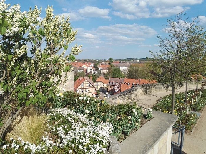 Reise durch die Gartenbaugeschichte Quedlinburgs für kleine und große Gartenfreunde