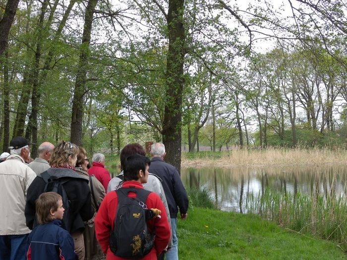 Die ca. 90 minütige Parkführung widmet sich - mit allen Sinnen - den Streuobstwiesen im Park, aber auch den Spuren französischer Kultur in dieser fast 250 Jahre alten Parkanlage.