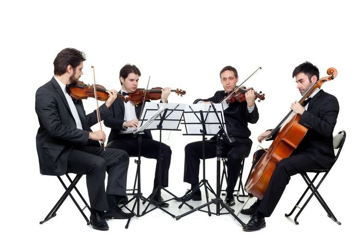 Les membres du quatuor sont le noyau du Chambre orchestre de Zrenjanin et de l'Orchestre philharmonique de Zrenjanin.