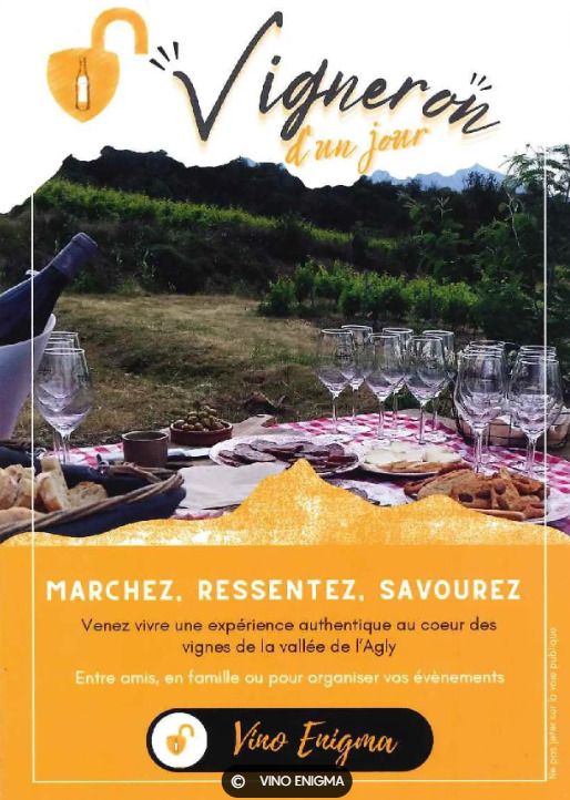 Vigneron d'un jour - Vino Enigma