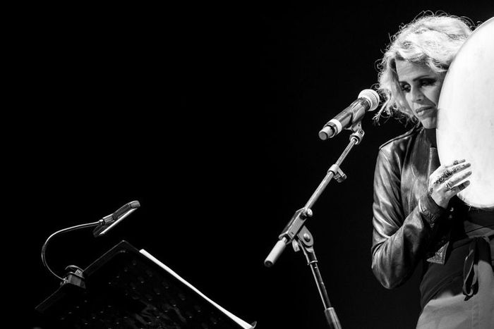MUSIQUE / CONCERT
