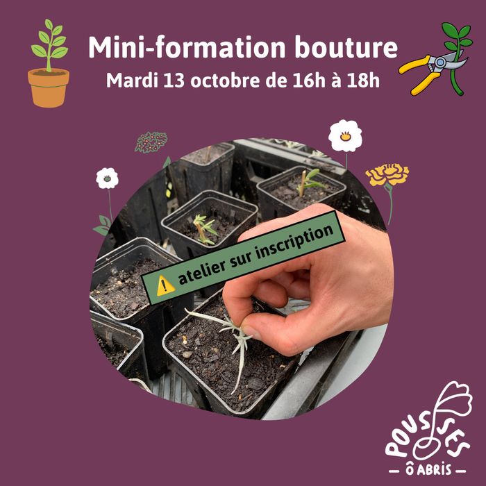 C'est l'automne et vous avez envie de nouvelles plantes ? Venez apprendre à multiplier des plantes vivaces dans notre pépinière-jardin de quartier !