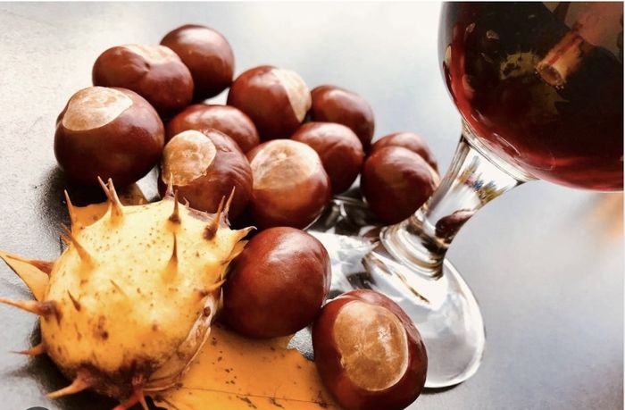 Fête de la châtaigne - stands, marrons, chasse au trésor