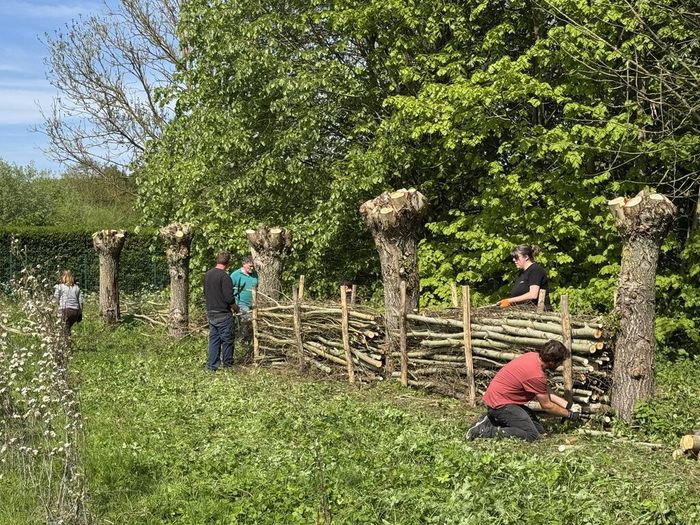 Participez à la réalisation d'une haie sèche au Parc Archéologique dans le cadre des ateliers DD !
