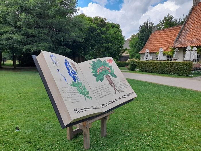 Une bonne idée pour retrouver le goût de la lecture