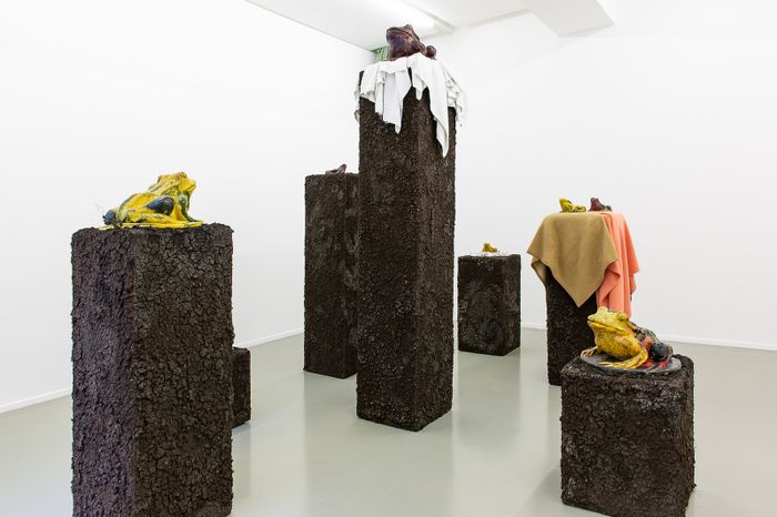 Pour sa première exposition personnelle en France, l’artiste suisse et brésilien Pedro Wirz imagine une installation immersive, placée dans une réalité dont la temporalité est difficile à cerner.