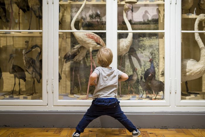 Vous êtes parent d’enfants de 0 à 3 ans et/ou professionnel.le de la petite enfance ? Rejoignez-nous lors de cet atelier participatif !